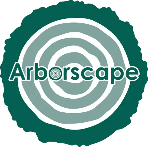 Tree Planting Services in Cumbria: Building Greener Landscapes with Arboscape UK Tree Planting Services in Cumbria