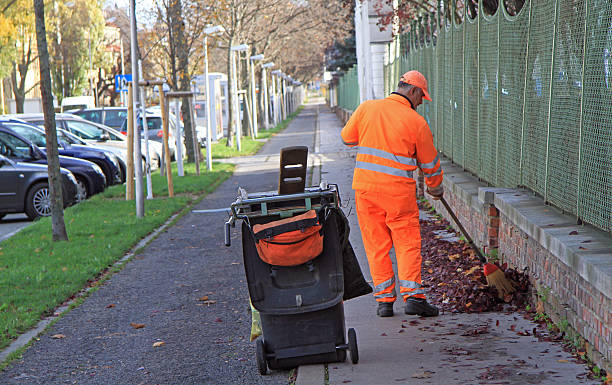 Why Skip Hire Matters: Easy Waste Management Solutions Skip Hire